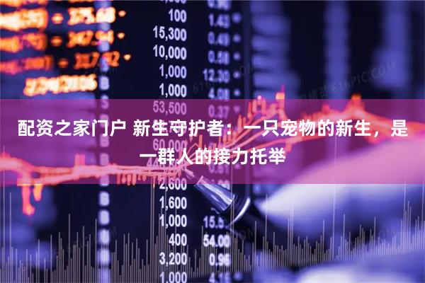 配资之家门户 新生守护者：一只宠物的新生，是一群人的接力托举